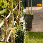 Ibiza Style شاليه